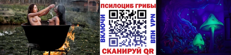 Купить закладки  Волоколамск  Галлюциногенные грибы Magic Shrooms 